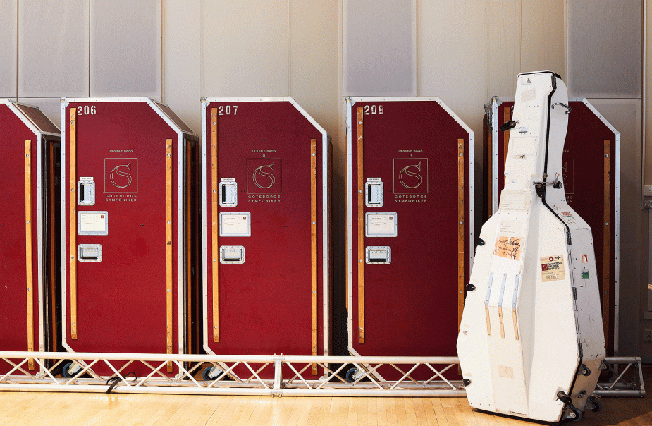 Guided tour: Behind the symphony